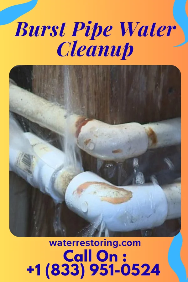 Burst Pipe Water Cleanup in Dunbar, WV
