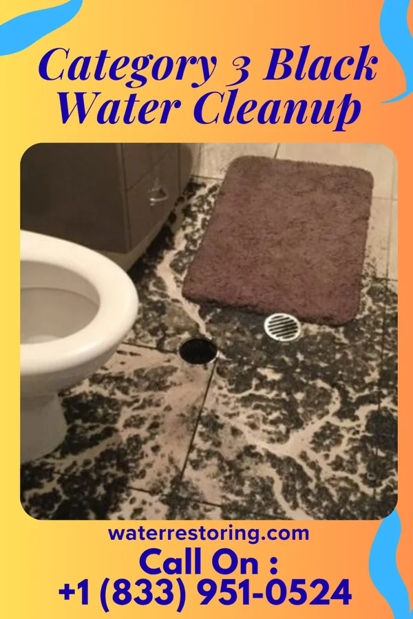 Category 3 Black Water Cleanup in Dunbar, WV