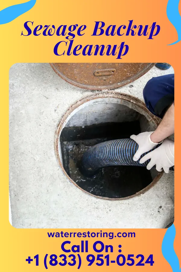 Sewage Backup Cleanup in Dunbar, WV