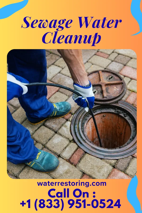 Sewage Water Cleanup in Dunbar, WV