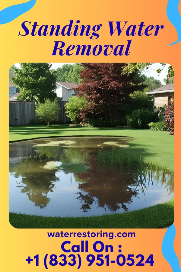 Standing Water Removal in Dunbar, WV